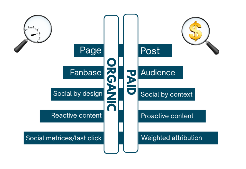 Organic vs paid marketing
