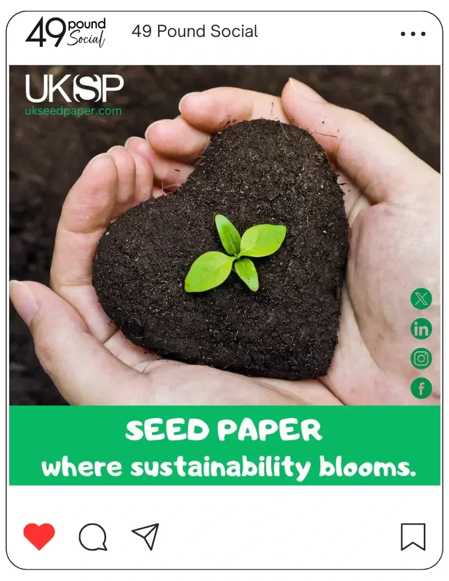 seed paper soil in hand